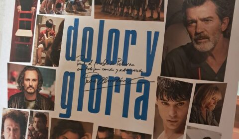 Cartell de la película “Dolor y gloria”