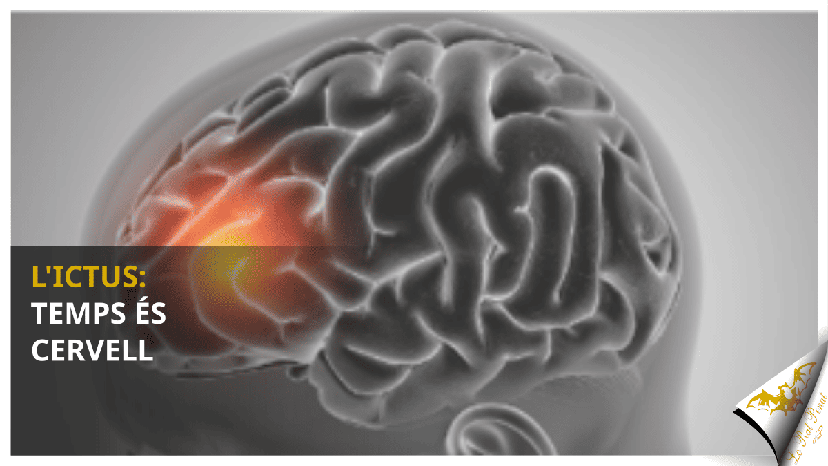 L’ictus: Temps és cervell