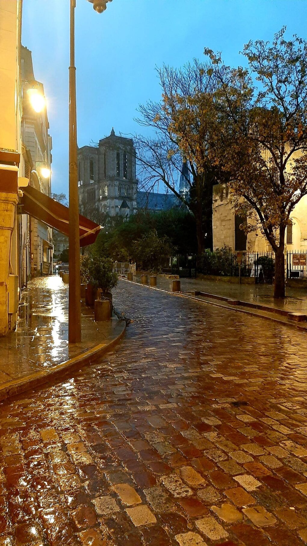 Carrer baix la pluja