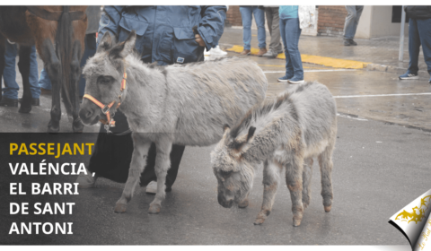 El barri de Sant Antoni i la seua festa