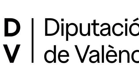 20241115 LOGO Diputacion DdV