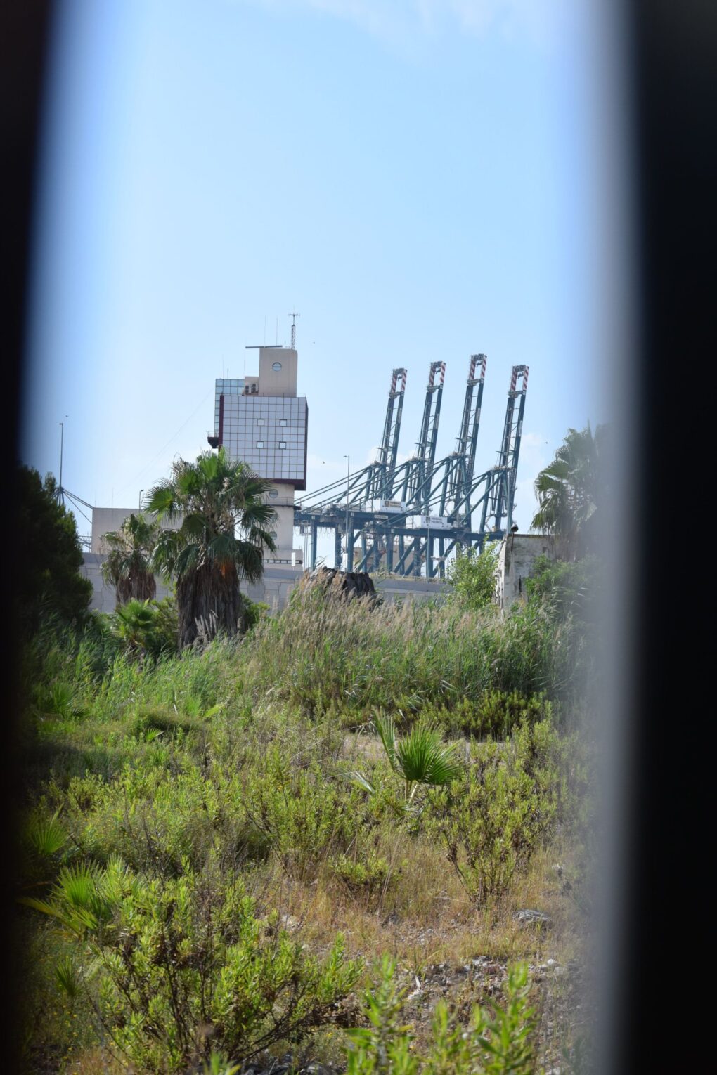 Grues