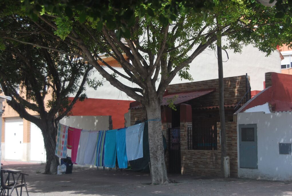 Roba estesa