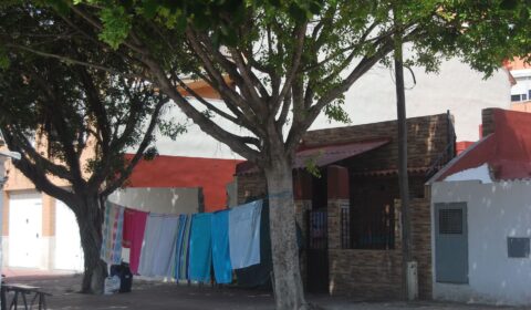 Roba estesa