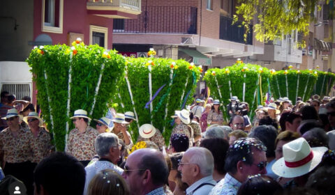 Festa de les Alfàbegues
