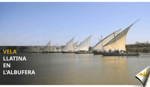 La Vela Llatina en l’Albufera