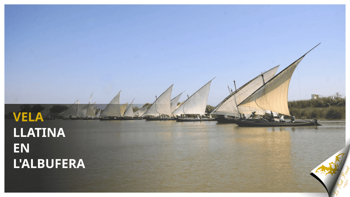 La Vela Llatina en l’Albufera