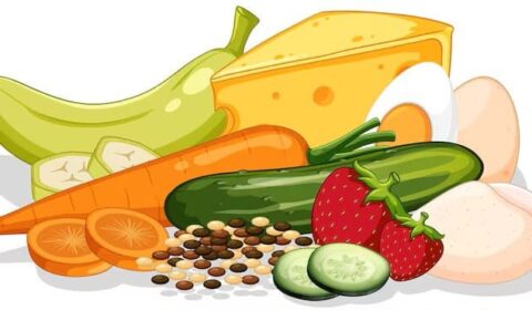 Menjars recomanables